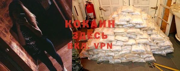 прущая мука Бородино