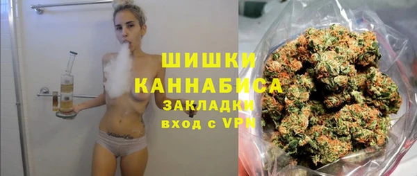 винт Бронницы