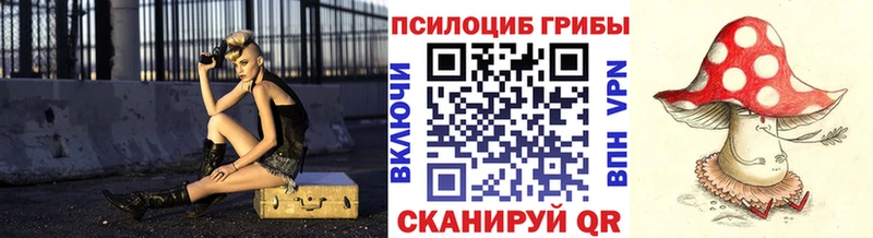 купить наркоту  Чёрмоз  Галлюциногенные грибы Psilocybine cubensis 